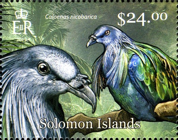 Nicobar Pigeon (Caloenas nicobarica)
