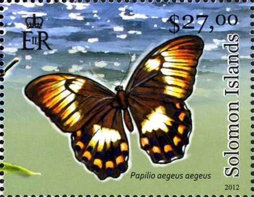 Butterflies of Solomon Islands