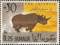 Black Rhinoceros (Diceros bicornis)