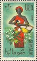 Cotton