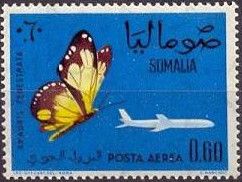 Milkweed Butterfly (Amauris fenestrata)