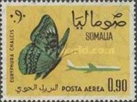 Common Commander (Euryphura chalcis)