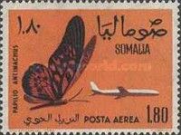 African Giant Swallowtail (Papilio antimachus)