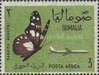 Butterfly (Danaida morgeni)