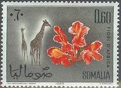 Flora and Fauna