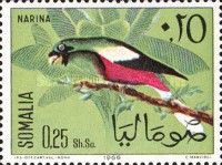 Narina Trogon (Apaloderma narina)