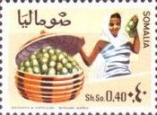 Woman and Basket with Limes