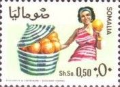 Woman and Basket with Grapefruit