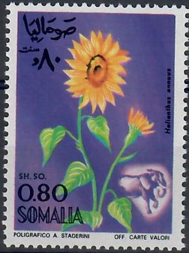 Sunflower and Elephant
