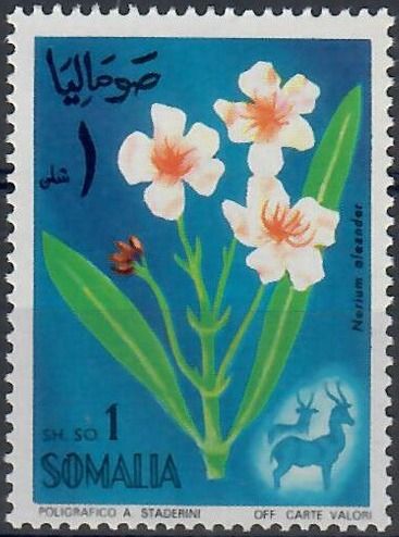 Oleander (Nerium oleander) and Gazelles
