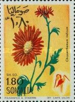 Chrysanthemums & Storks.