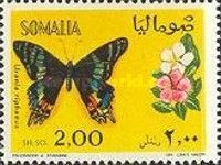 Madagascan Sunset Moth (Urania ripheus)