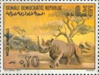 White Rhinoceros