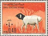 Sheep (Ovis ammon aries)