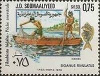 Fishing, Siganus rivulatus