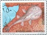 Pardiglanis tarabinii