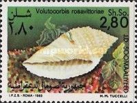 Volutocorbis rosavittoriae