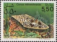 Conus milneedwardsi