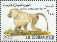 Hamadryas Baboon (Papio hamadryas)