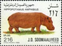 Hippopotamus (Hippopotamus amphibius)
