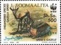 Speke's Gazelle (Gazella spekei) ovpt PARTICIPANT RIO '92