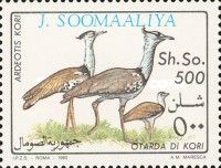 Kori Bustard (Ardeotis kori)