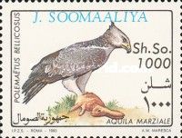 Martial Eagle (Polemaetus bellicosus)
