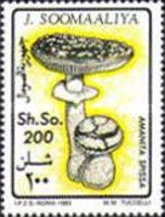 Compact Amanita (Amanita spissa)