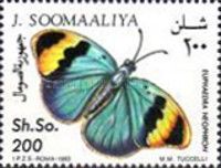 Euphaedra neophron