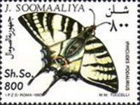 Iphiclides podalirius
