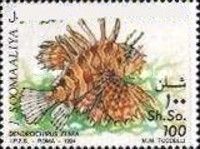 Dendrochirus zebra