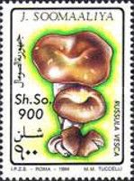 Russula vesca
