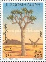 Tree Aloe and Giraffes