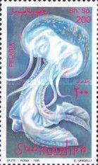 Pelagia noctiluca