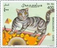 Striped Cat