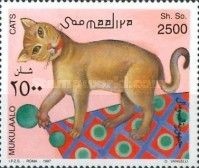 Brown Cat
