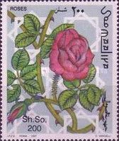 Redviolet Blossom