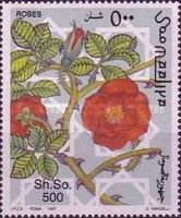 Red Blossom