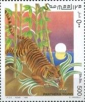 Tiger (Panthera tigris)