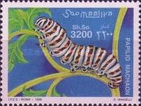 Old World Swallowtail (Papilio machaon) Caterpillar