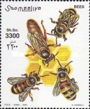 Bees