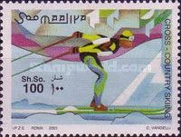 Cross-country Skiing