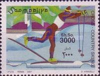 Cross-country Skiing