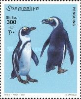 African Penguin (Spheniscus demersus)