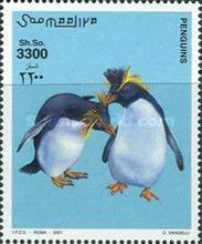 Southern Rockhopper Penguin (Eudyptes chrysocome)