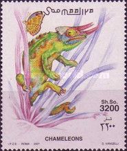 Fischer's Chameleon (Trioceros fischeri)