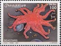Crossaster papposus