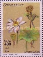 Nymphaea