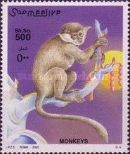Monkey sp.