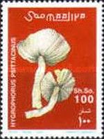 Hygrophorus psittacinus